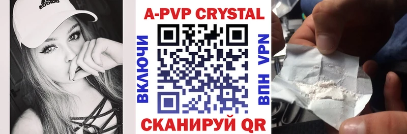 A PVP СК КРИС  Орск 