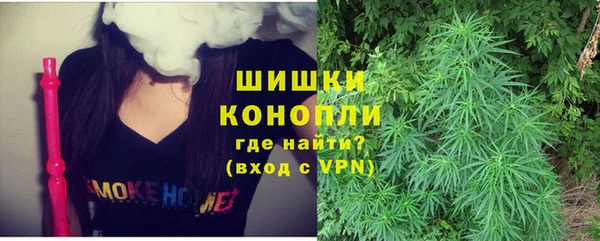 ГАЛЛЮЦИНОГЕННЫЕ ГРИБЫ Алексин