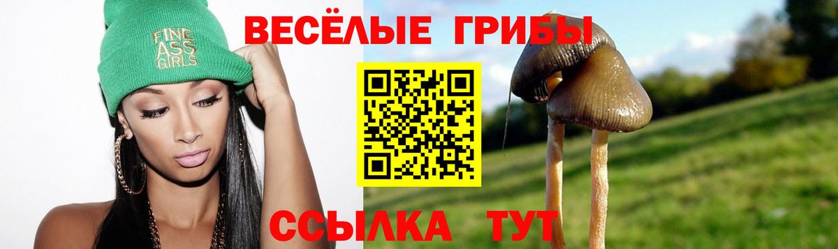 Орск  Псилоцибиновые грибы мицелий  Псилоцибиновые грибы ЛСД  Вход с VPN 