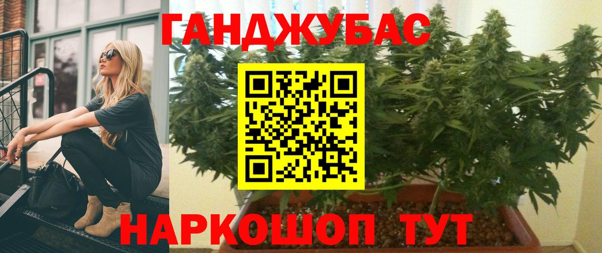 Канабис планчик  Вход с VPN  Марихуана сатива  Бошки Шишки Ganja  Орск 